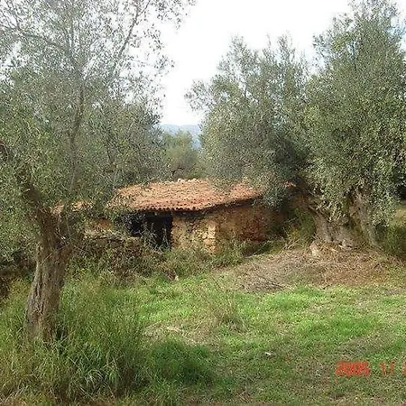 Lägenhetshotell Hellas Palace Loft Sparta