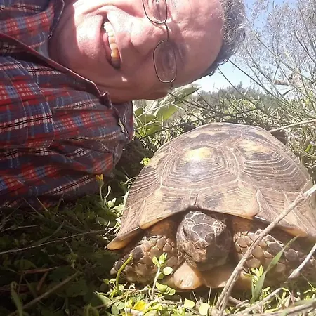 Hellas Palace Loft Aparthotel