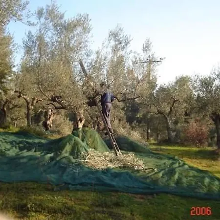 Hellas Palace Loft *