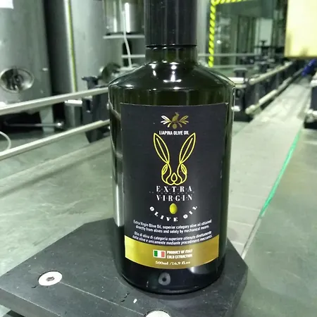 Hellas Palace Loft Lägenhetshotell Sparta