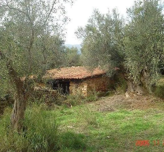 Lejlighedshotel Hellas Palace Loft Sparta