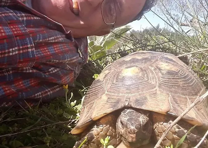 Hellas Palace Loft Apart-hotel