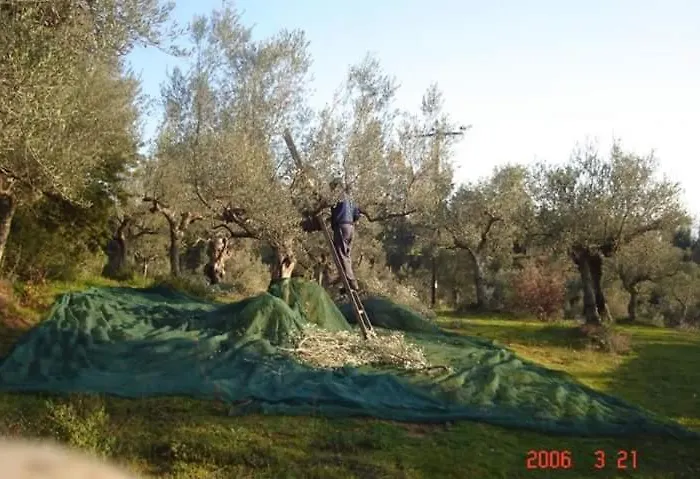 Hellas Palace Loft *